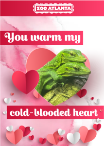 You warm my cold-blooded heart