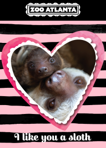 I like you a sloth with Waffles