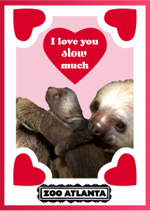 Waffles says I love you slow much 